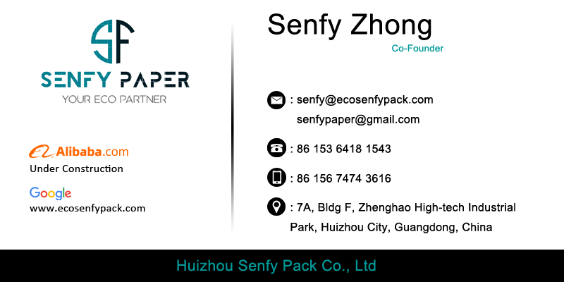 Senfy Zhong.png